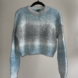 Wild fable cropped thick sweater